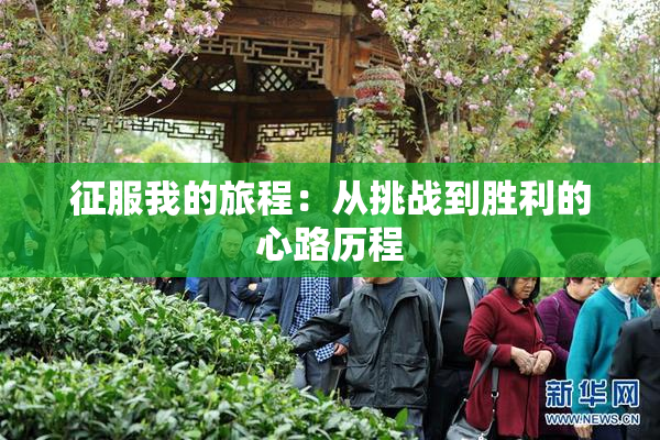 征服我的旅程：从挑战到胜利的心路历程