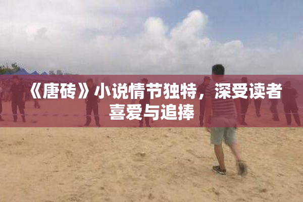 《唐砖》小说情节独特，深受读者喜爱与追捧