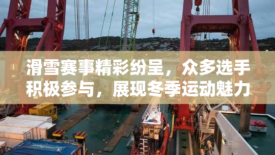 滑雪赛事精彩纷呈，众多选手积极参与，展现冬季运动魅力