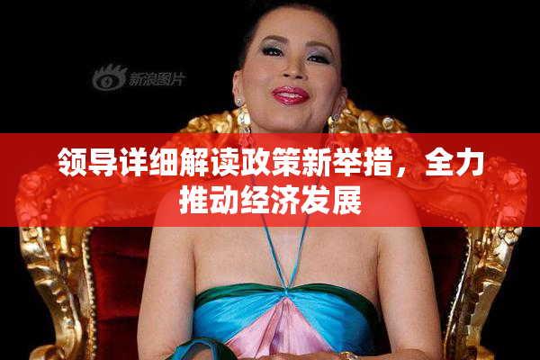 领导详细解读政策新举措，全力推动经济发展