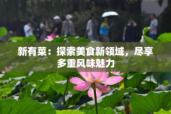 新有菜：探索美食新领域，尽享多重风味魅力