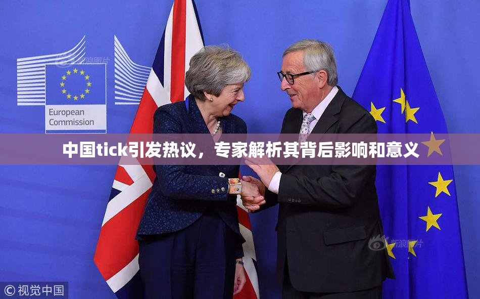 中国tick引发热议，专家解析其背后影响和意义