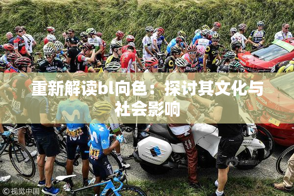 重新解读bl向色：探讨其文化与社会影响