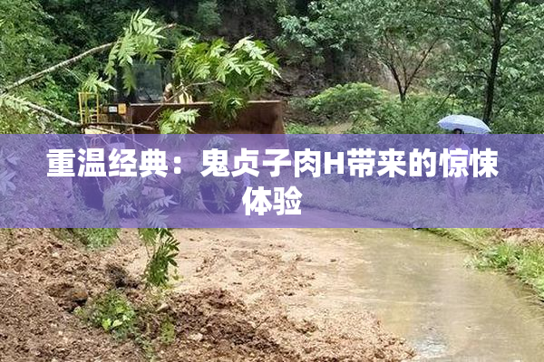重温经典：鬼贞子肉H带来的惊悚体验