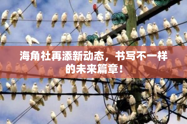 海角社再添新动态，书写不一样的未来篇章！