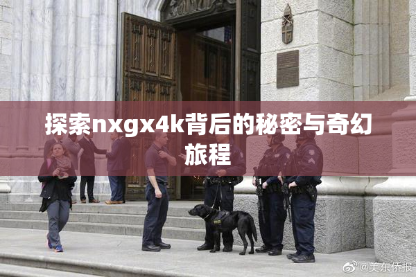 探索nxgx4k背后的秘密与奇幻旅程