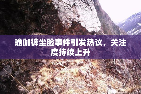 瑜伽裤坐脸事件引发热议，关注度持续上升
