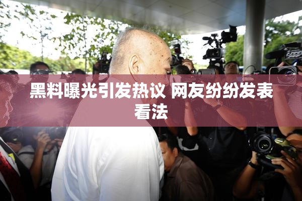 黑料曝光引发热议 网友纷纷发表看法
