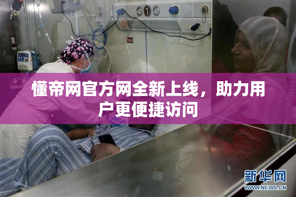 懂帝网官方网全新上线，助力用户更便捷访问