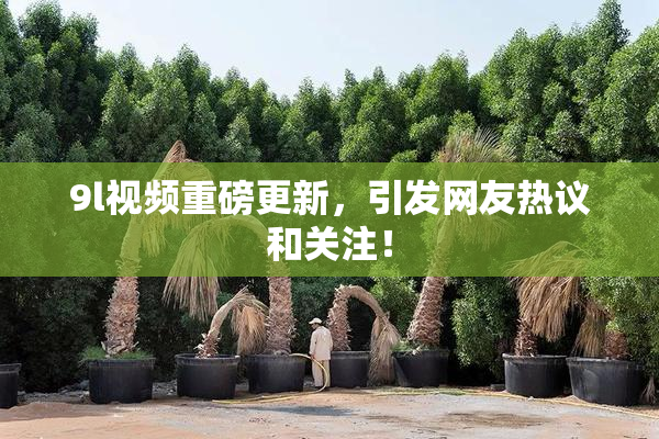 9l视频重磅更新，引发网友热议和关注！