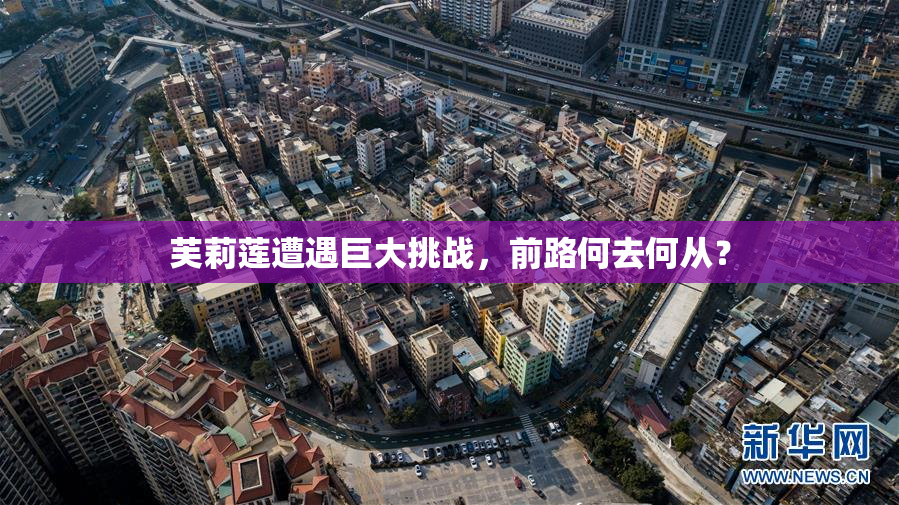 芙莉莲遭遇巨大挑战，前路何去何从？