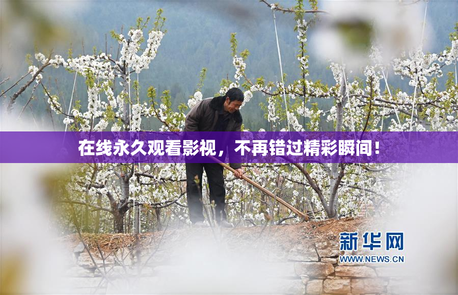 在线永久观看影视，不再错过精彩瞬间！