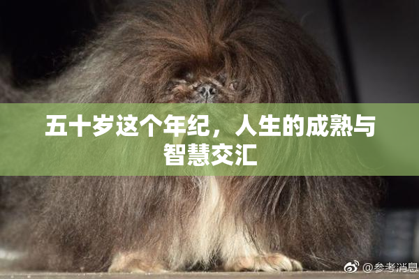 五十岁这个年纪，人生的成熟与智慧交汇