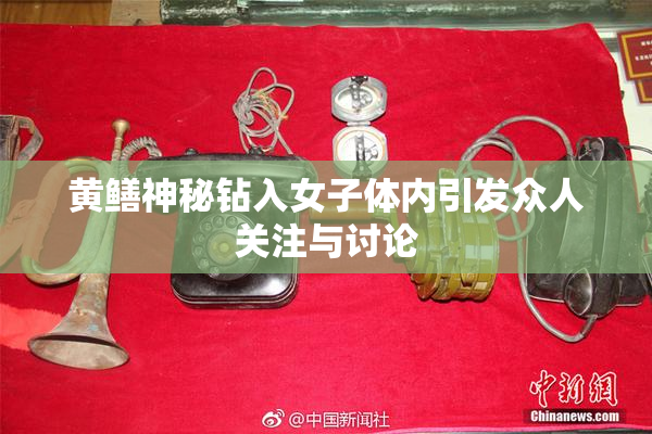 黄鳝神秘钻入女子体内引发众人关注与讨论