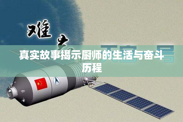 真实故事揭示厨师的生活与奋斗历程