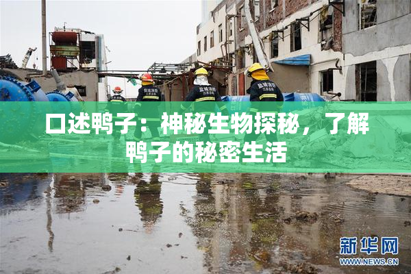 口述鸭子：神秘生物探秘，了解鸭子的秘密生活