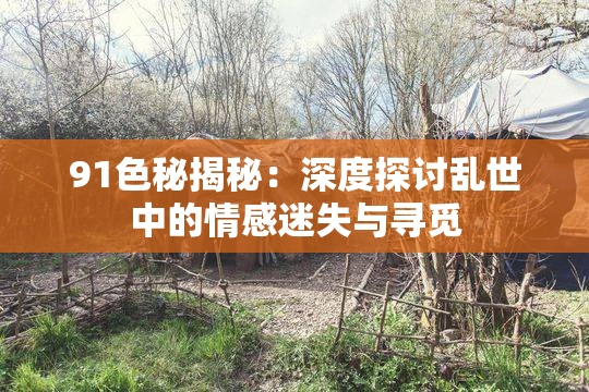 91色秘揭秘：深度探讨乱世中的情感迷失与寻觅