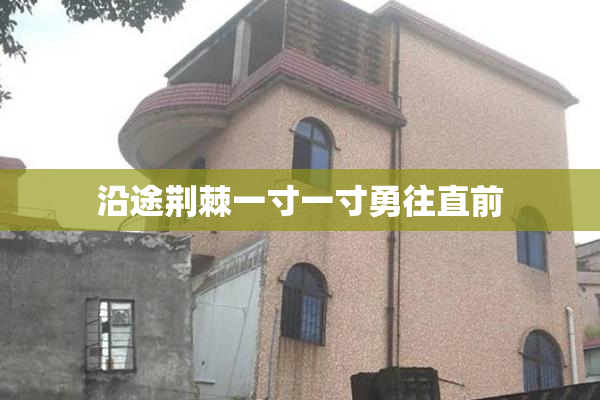 沿途荆棘一寸一寸勇往直前