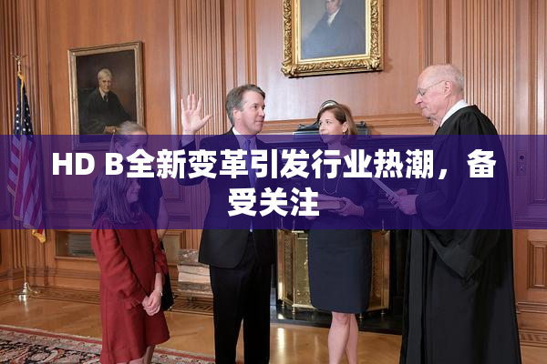 HD B全新变革引发行业热潮，备受关注