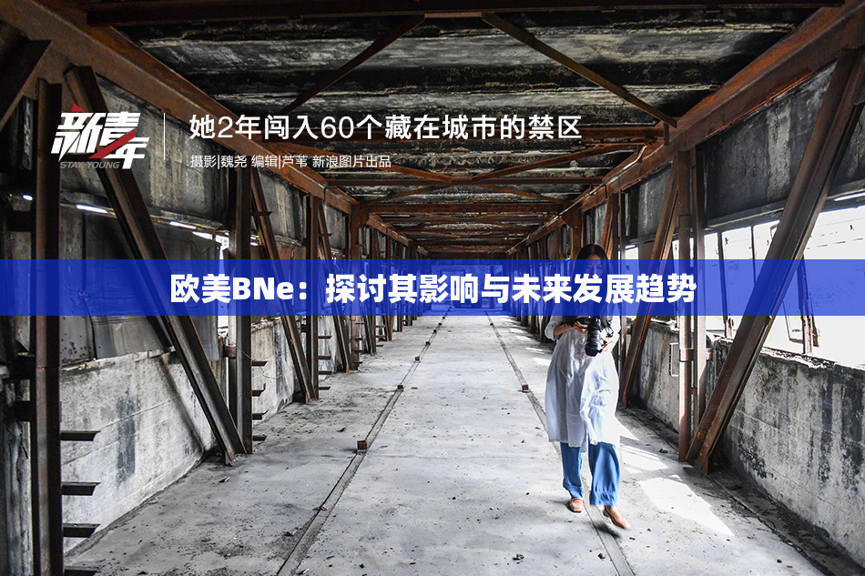 欧美BNe：探讨其影响与未来发展趋势