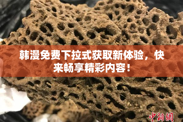 韩漫免费下拉式获取新体验，快来畅享精彩内容！