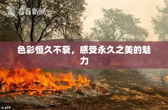 色彩恒久不衰，感受永久之美的魅力