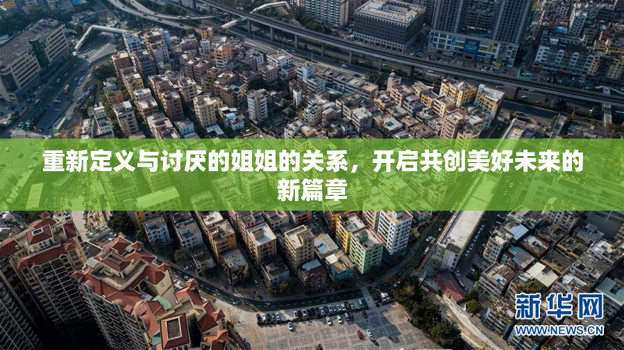 重新定义与讨厌的姐姐的关系，开启共创美好未来的新篇章