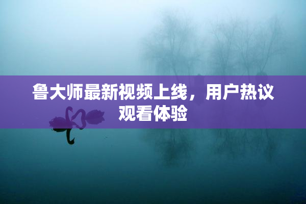 鲁大师最新视频上线，用户热议观看体验