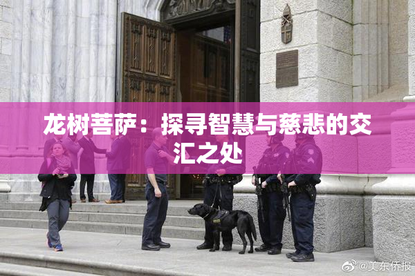 龙树菩萨：探寻智慧与慈悲的交汇之处