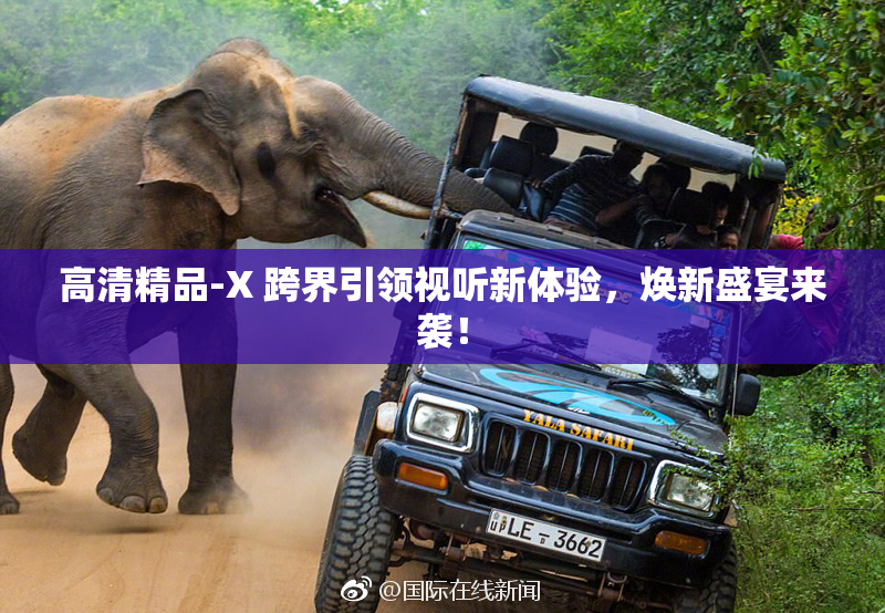 高清精品-X 跨界引领视听新体验，焕新盛宴来袭！