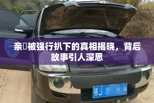 亲妺被强行扒下的真相揭晓，背后故事引人深思