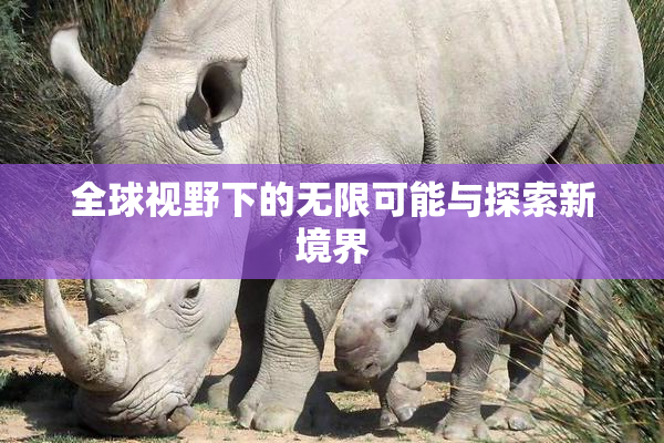 全球视野下的无限可能与探索新境界
