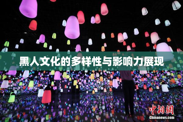 黑人文化的多样性与影响力展现