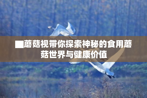 ▇蘑菇视带你探索神秘的食用蘑菇世界与健康价值