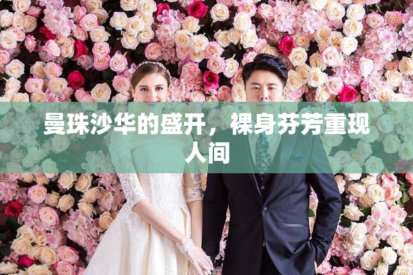 曼珠沙华的盛开，裸身芬芳重现人间