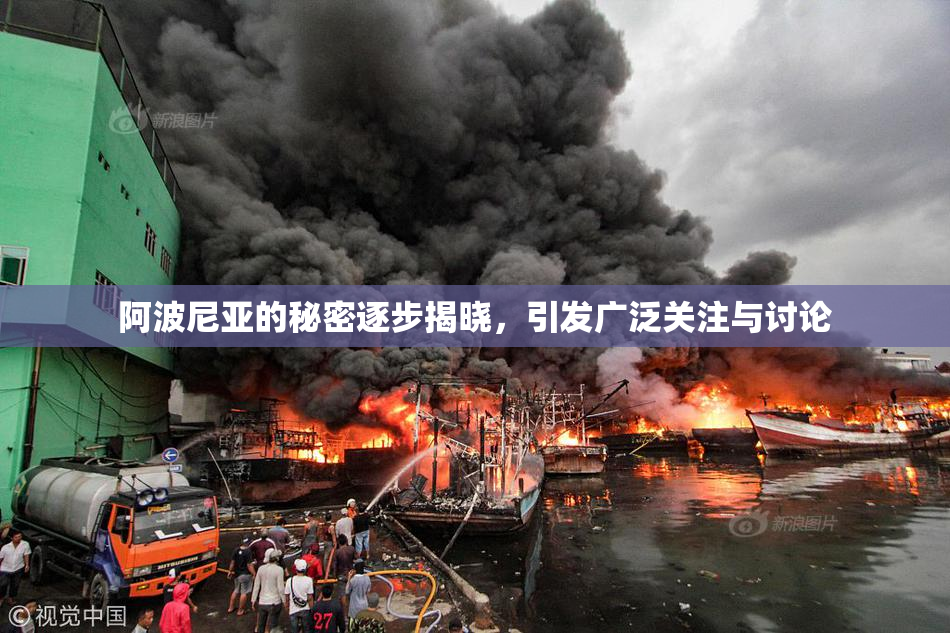 阿波尼亚的秘密逐步揭晓，引发广泛关注与讨论