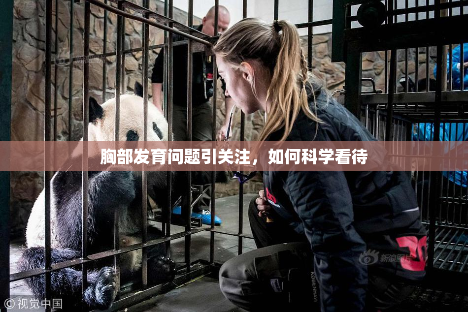 胸部发育问题引关注，如何科学看待