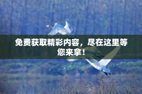 免费获取精彩内容，尽在这里等您来拿！