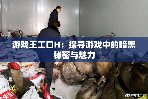 游戏王工口H：探寻游戏中的暗黑秘密与魅力