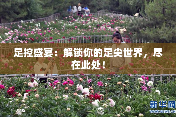 足控盛宴：解锁你的足尖世界，尽在此处！