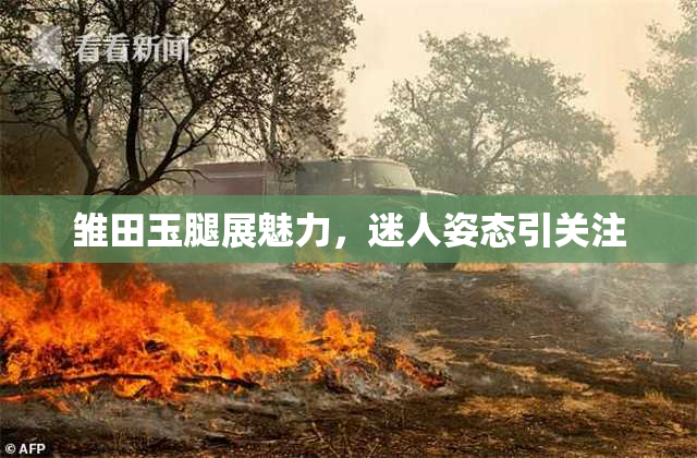 雏田玉腿展魅力，迷人姿态引关注