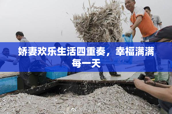 娇妻欢乐生活四重奏，幸福满满每一天