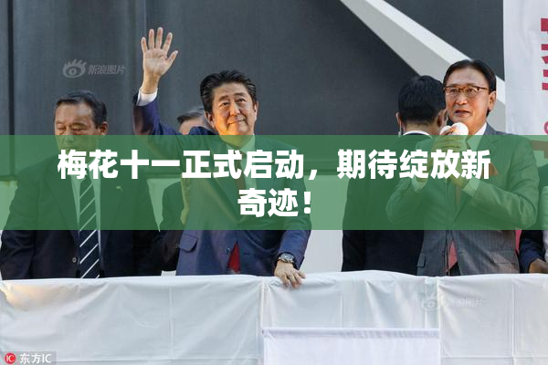 梅花十一正式启动，期待绽放新奇迹！