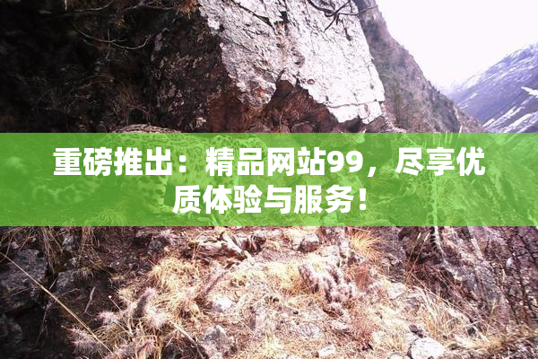 重磅推出：精品网站99，尽享优质体验与服务！
