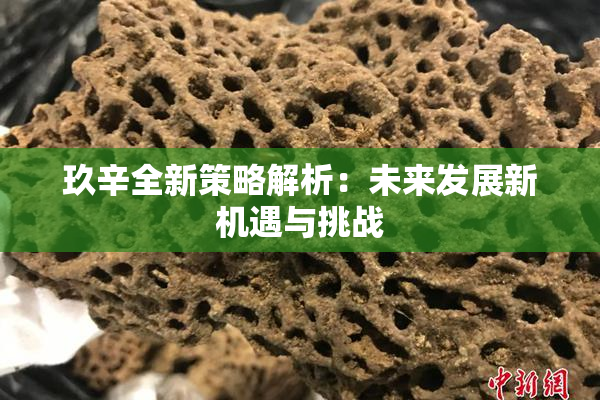 玖辛全新策略解析：未来发展新机遇与挑战