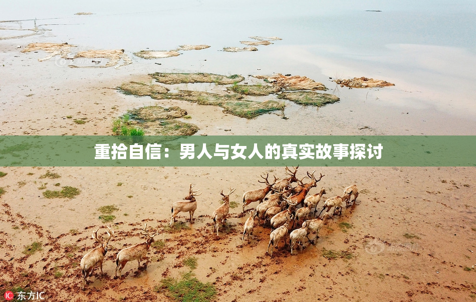 重拾自信：男人与女人的真实故事探讨