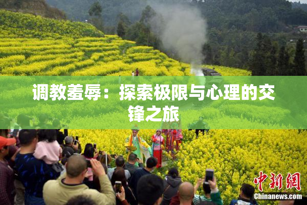 调教羞辱：探索极限与心理的交锋之旅