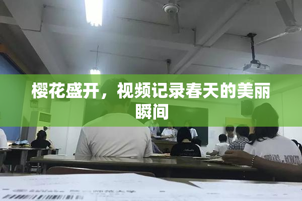 樱花盛开，视频记录春天的美丽瞬间
