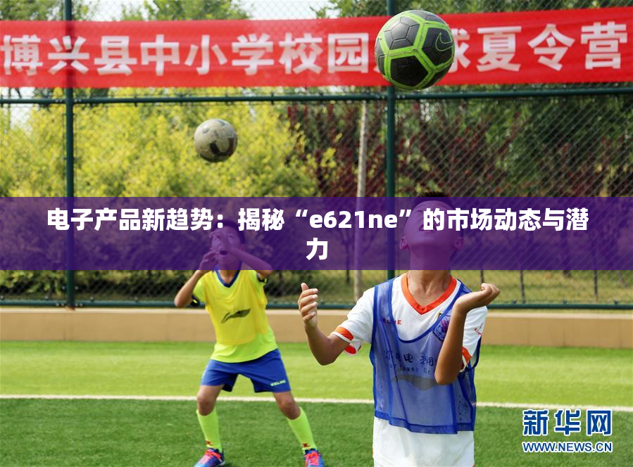 电子产品新趋势：揭秘“e621ne”的市场动态与潜力