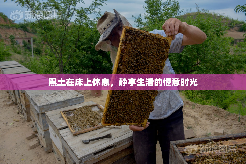 黑土在床上休息，静享生活的惬意时光
